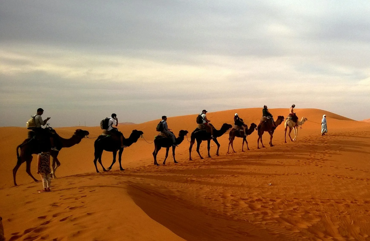 数据治理带给我了什么收获？